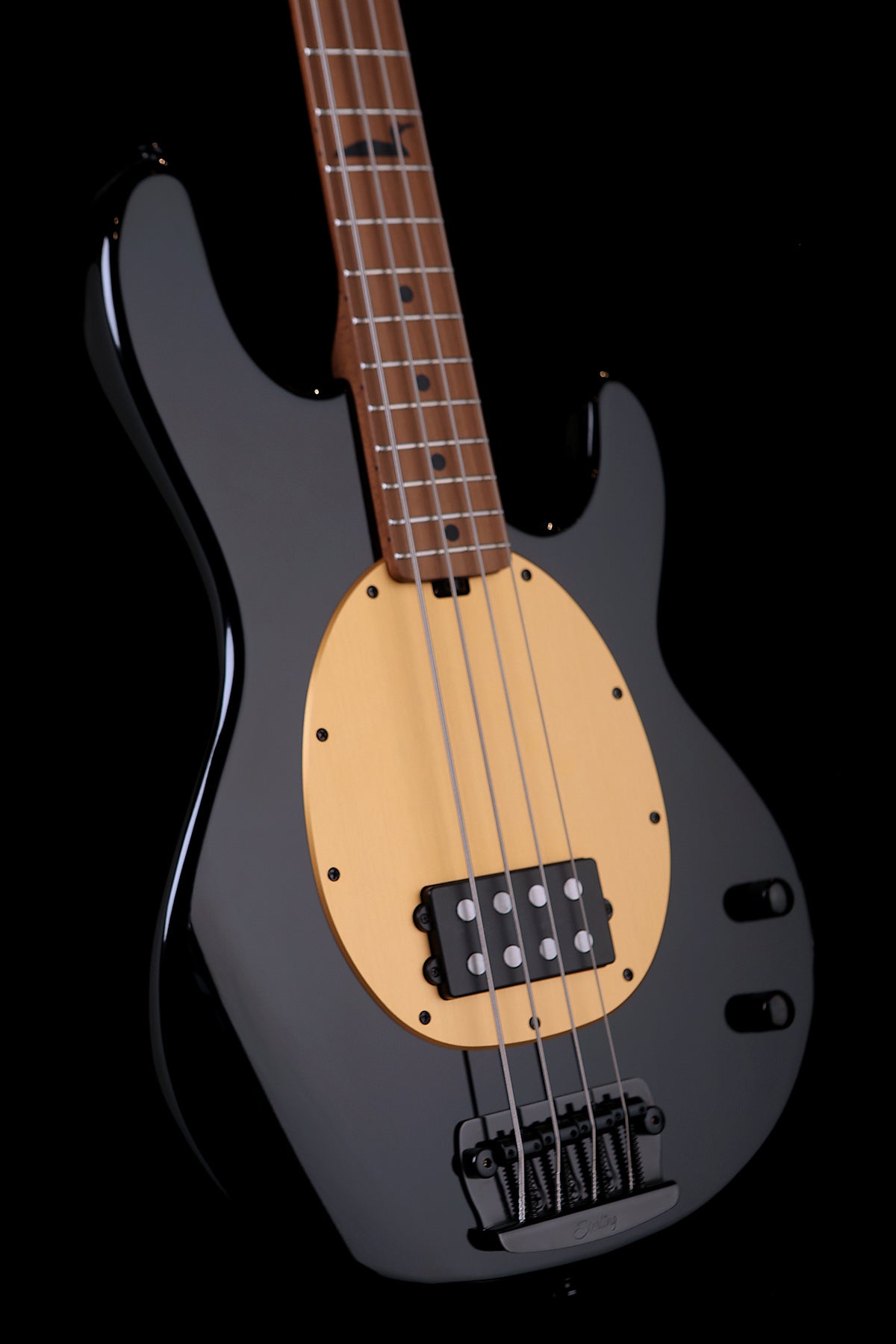 Sterling by Musicman Pete Wentz 4 String Bass Guitar - Bass Centre Music Store Melbourne