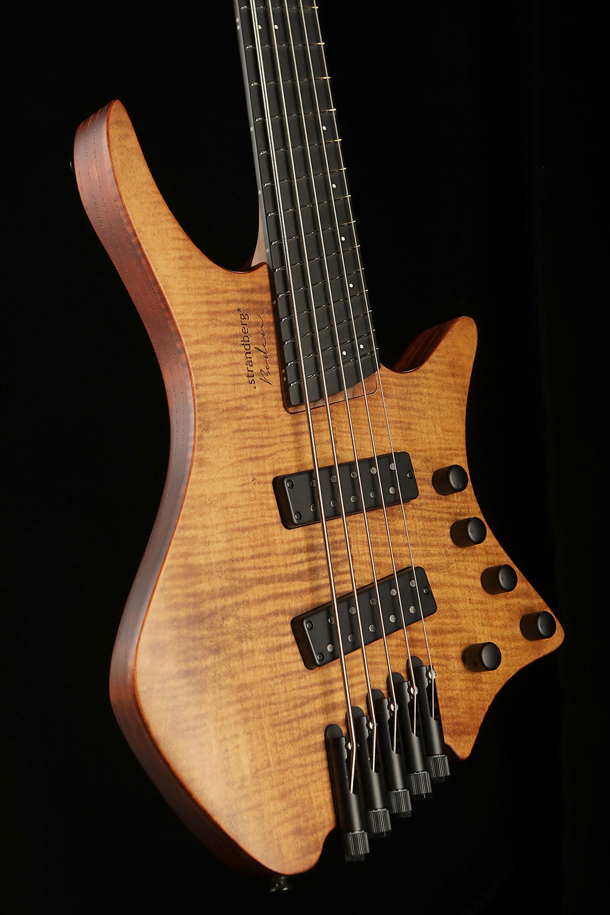 Boden Bass Prog 5 String Bass