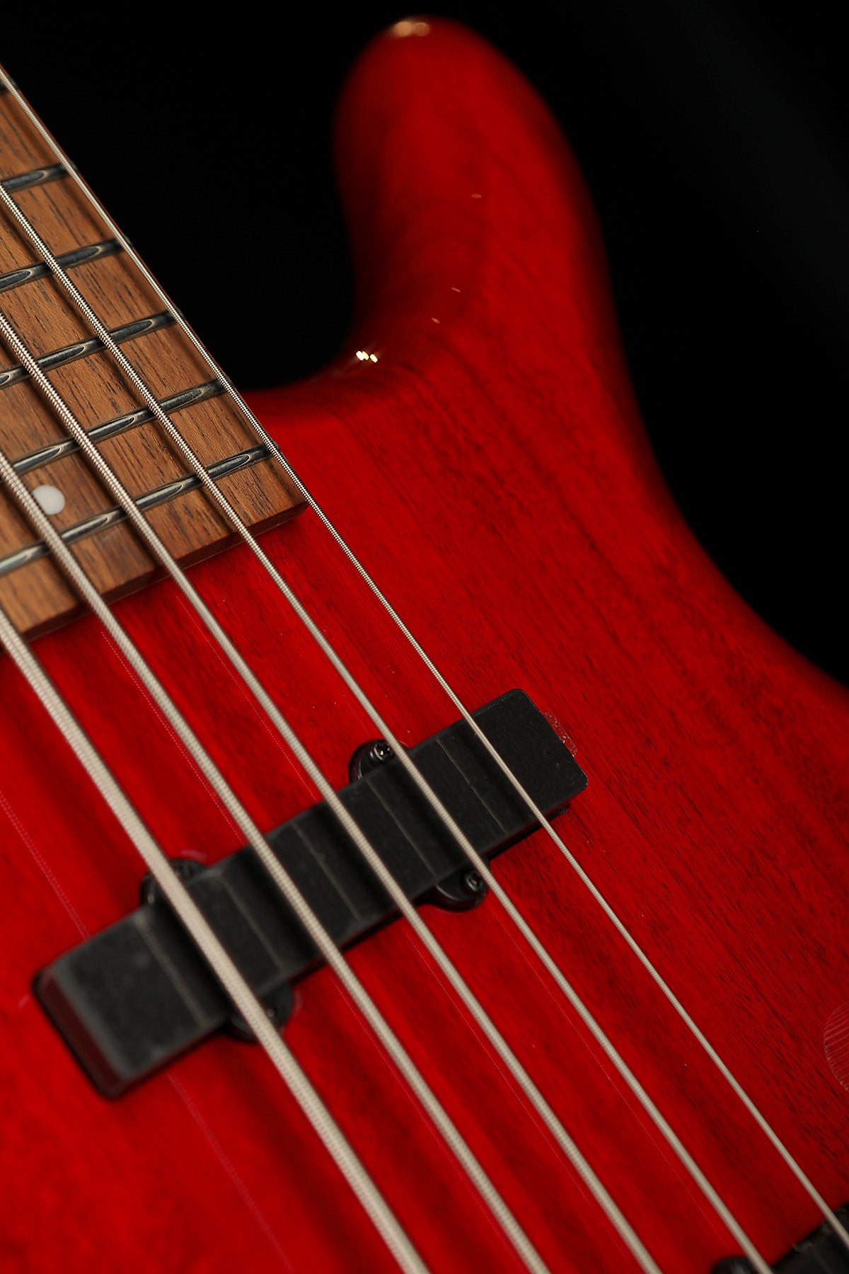 Cort Action Bass Plus 5 string - Bass Centre Music Store Melbourne