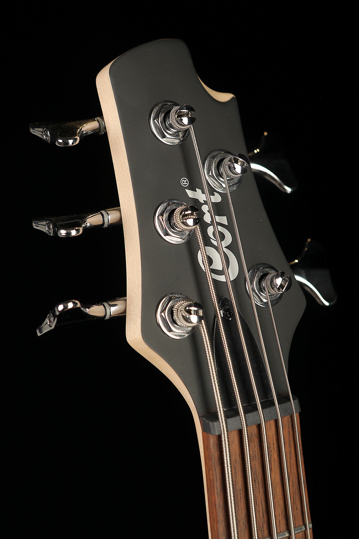 Cort Action Bass Plus 5 string - Bass Centre Music Store Melbourne