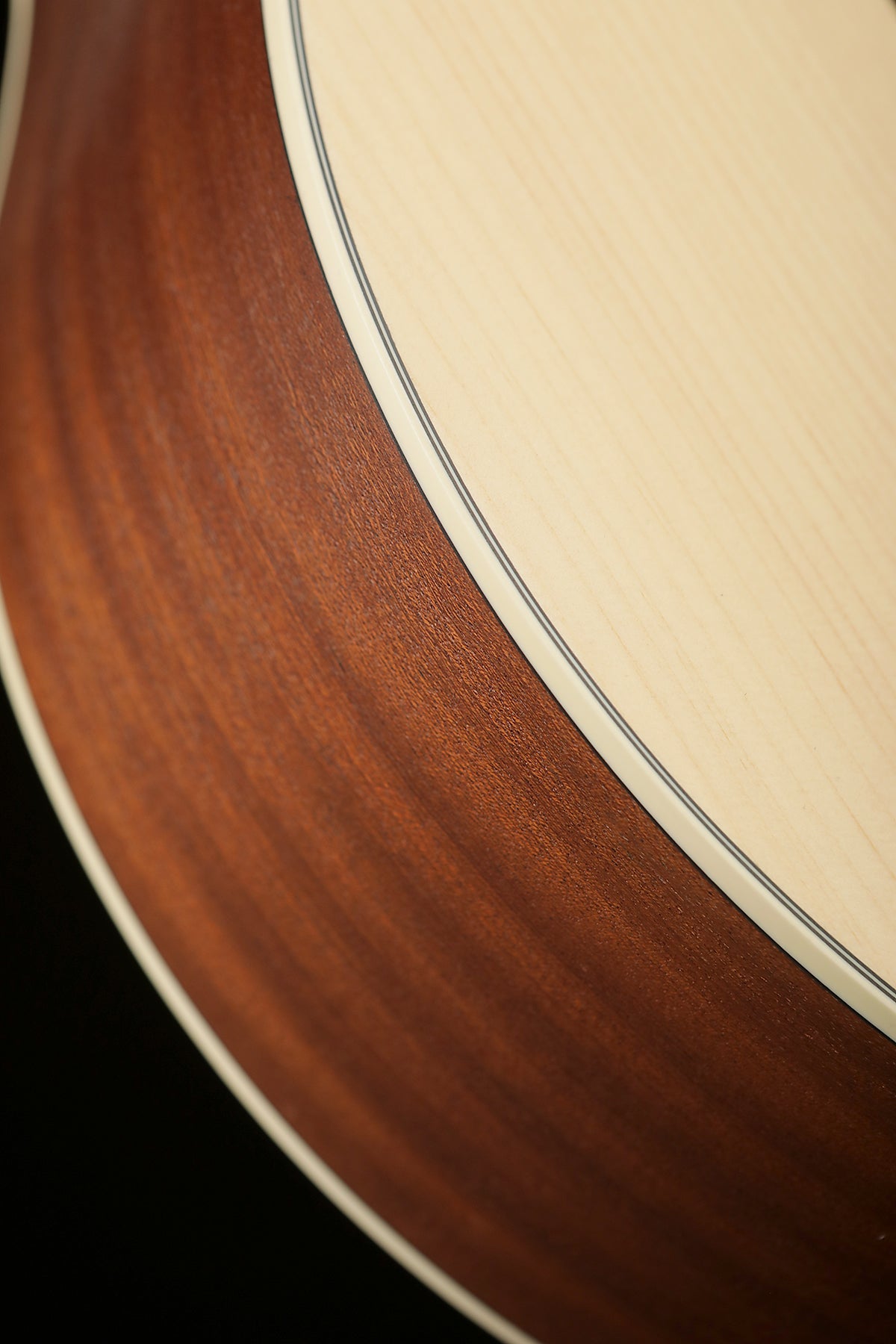 Guild B-240EF Acoustic Bass FRETLESS - Bass Centre Music Store Melbourne