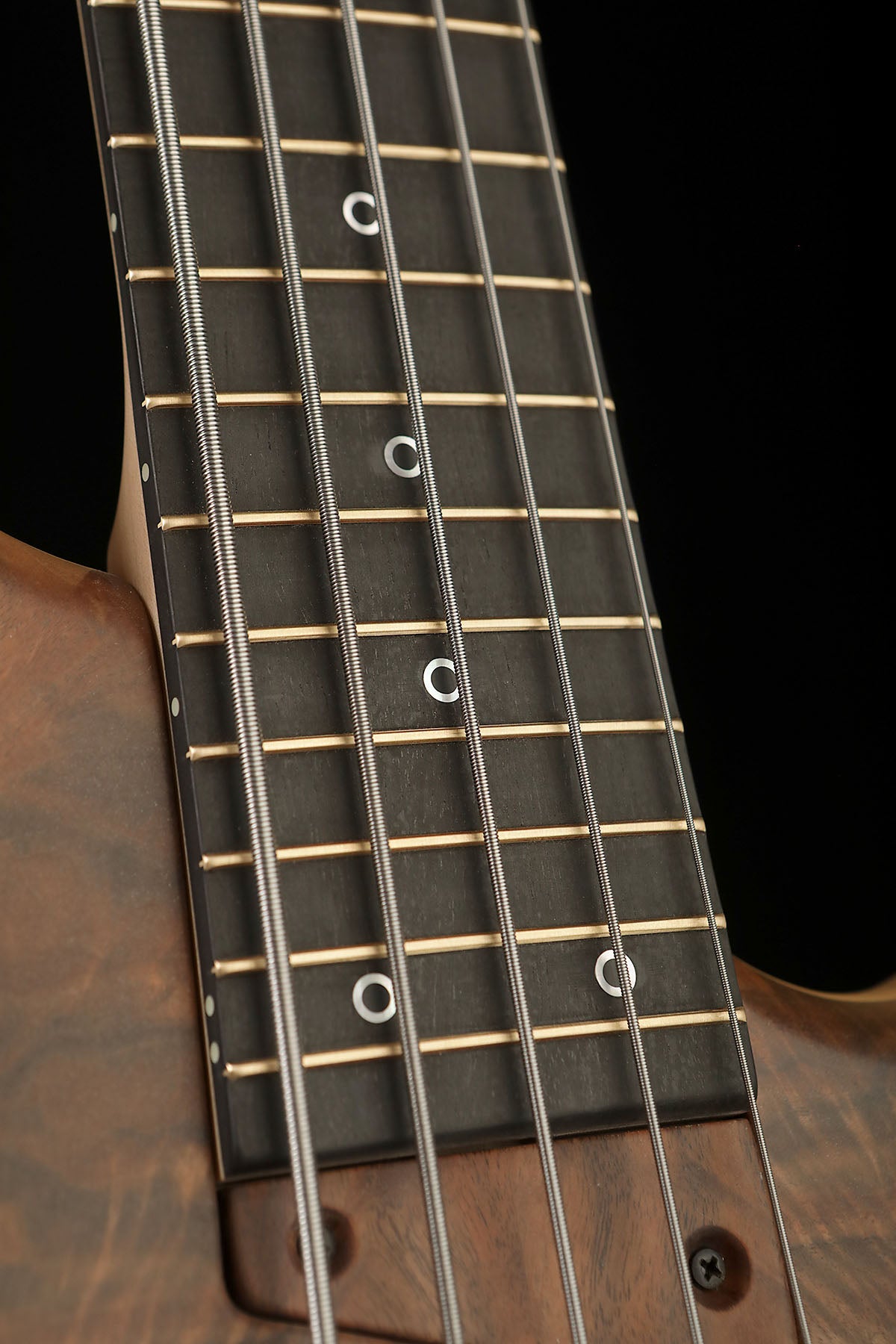 MTD 535 Custom Walnut Top - Bass Centre Music Store Melbourne