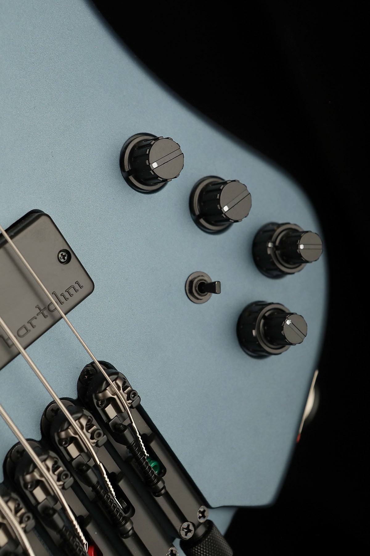 Ibanez EHB1005F AOM Fretless - Bass Centre Music Store Melbourne