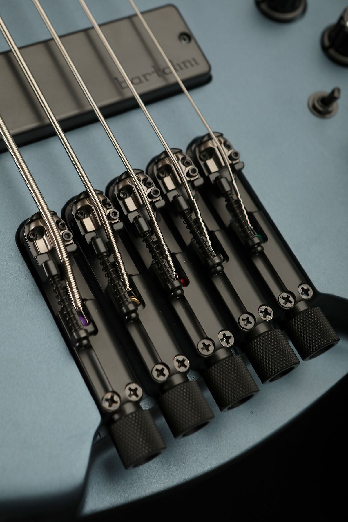 Ibanez EHB1005F AOM Fretless - Bass Centre Music Store Melbourne