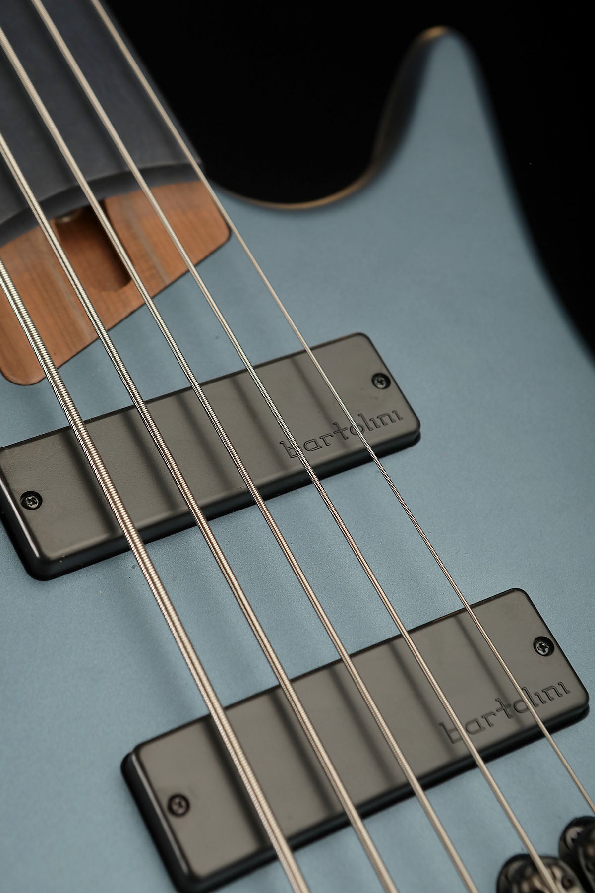 Ibanez EHB1005F AOM Fretless - Bass Centre Music Store Melbourne