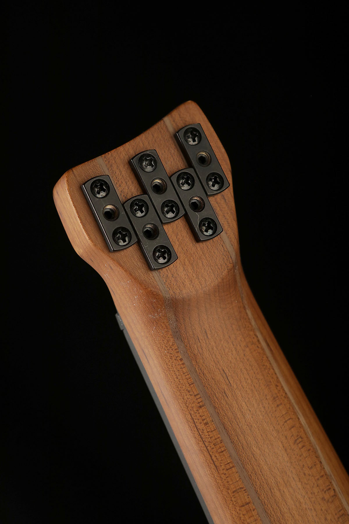 Ibanez EHB1005F AOM Fretless - Bass Centre Music Store Melbourne