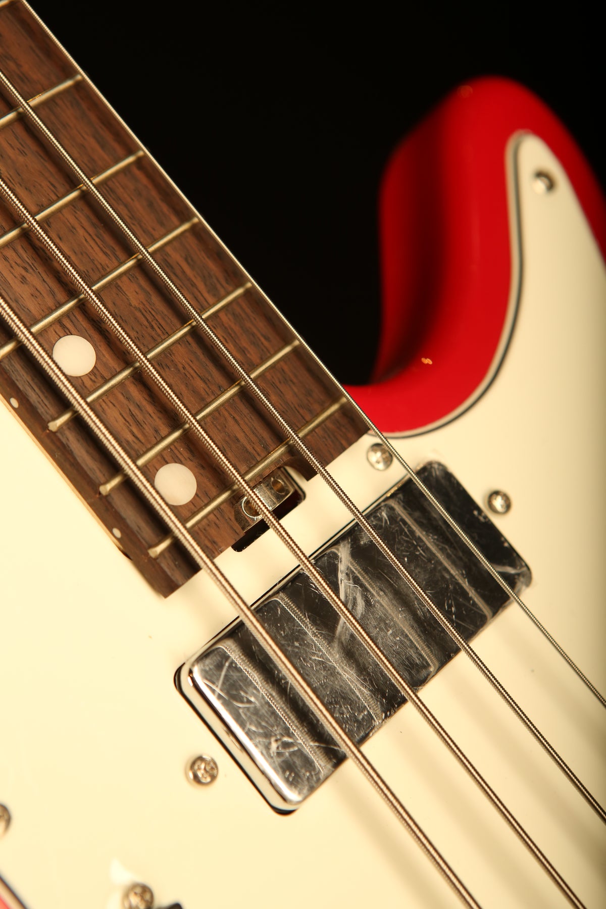 Nordstrand Acinonyx Short Scale Bass - Bass Centre Music Store Melbourne