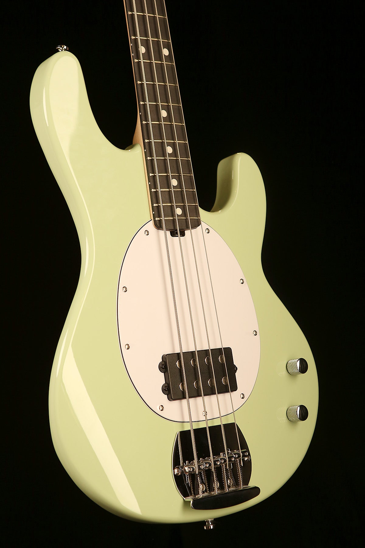 Sterling Stingray Ray2 Intro Series Bass - Bass Centre Music Store Melbourne
