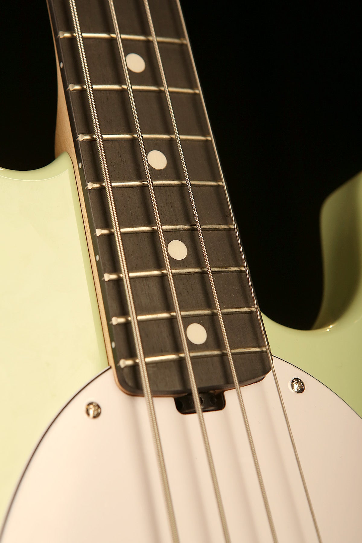 Sterling Stingray Ray2 Intro Series Bass - Bass Centre Music Store Melbourne