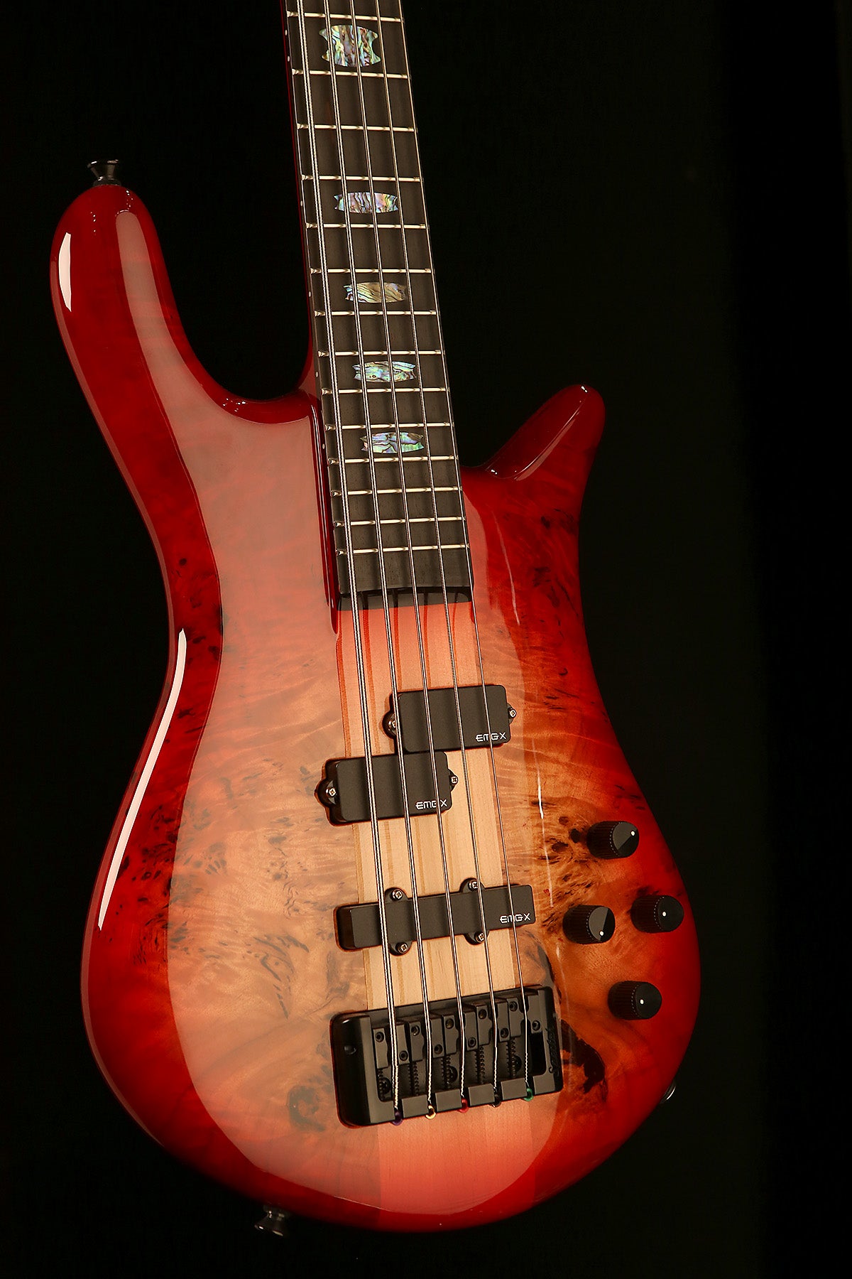 Spector Euro CST 5 String Bass - Bass Centre Music Store Melbourne