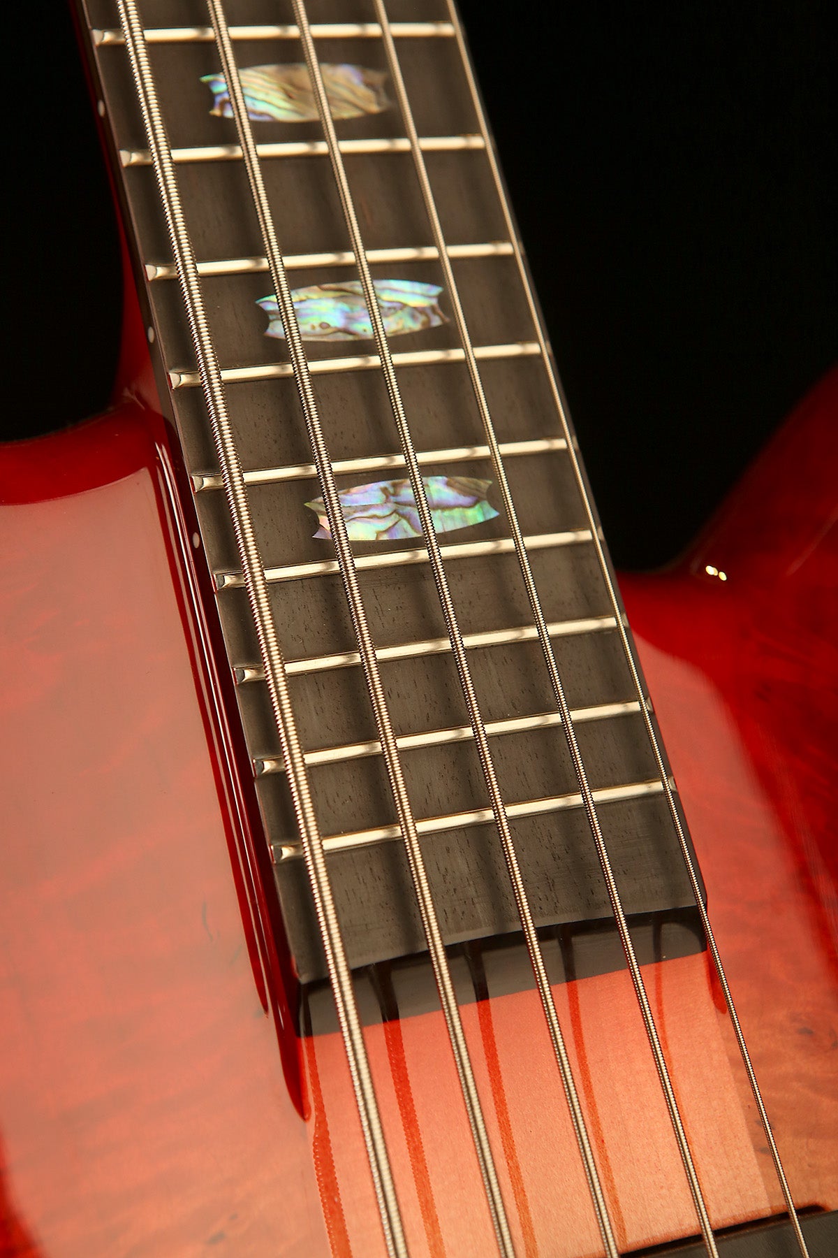 Spector Euro CST 5 String Bass - Bass Centre Music Store Melbourne