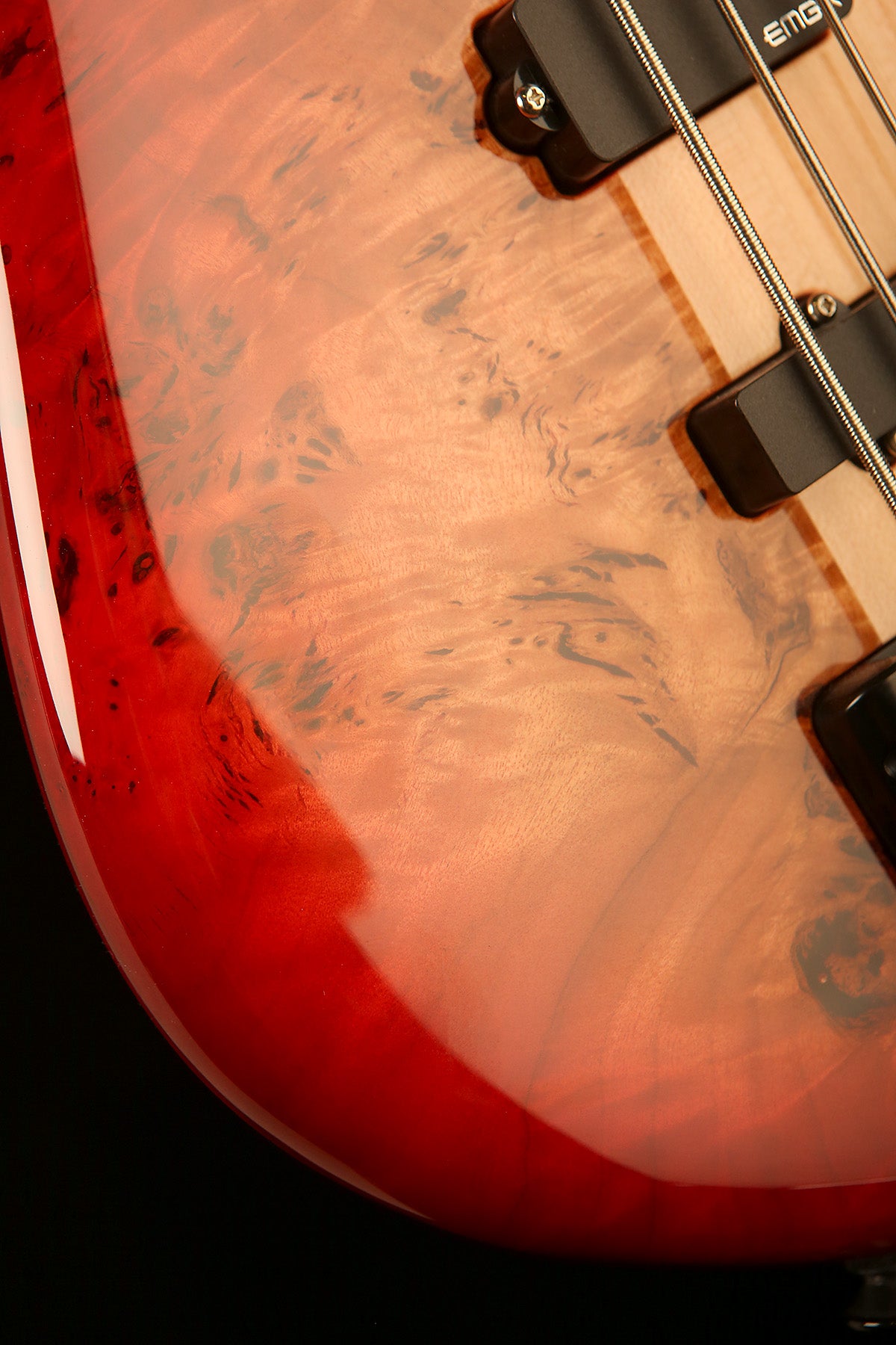 Spector Euro CST 5 String Bass - Bass Centre Music Store Melbourne