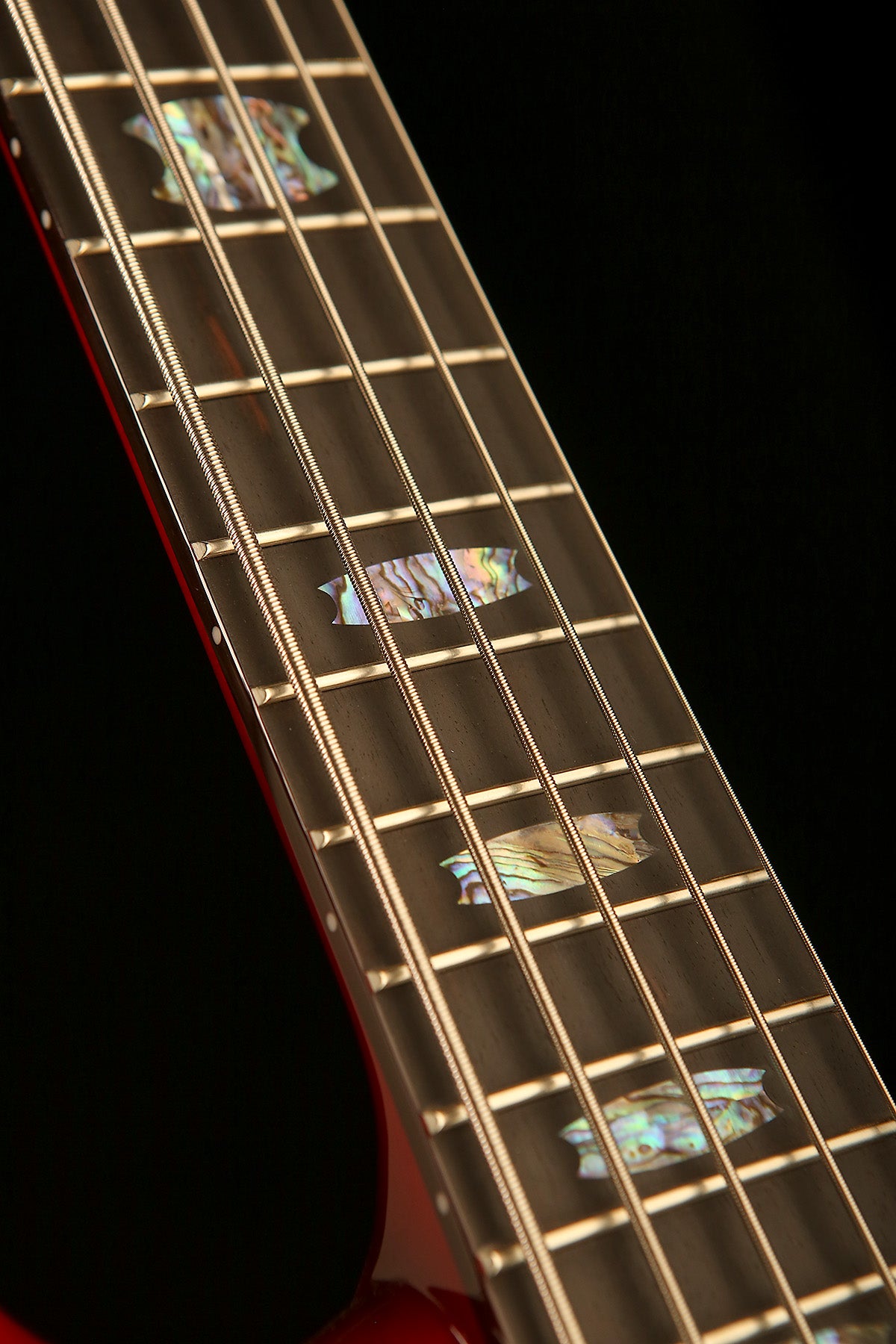 Spector Euro CST 5 String Bass - Bass Centre Music Store Melbourne