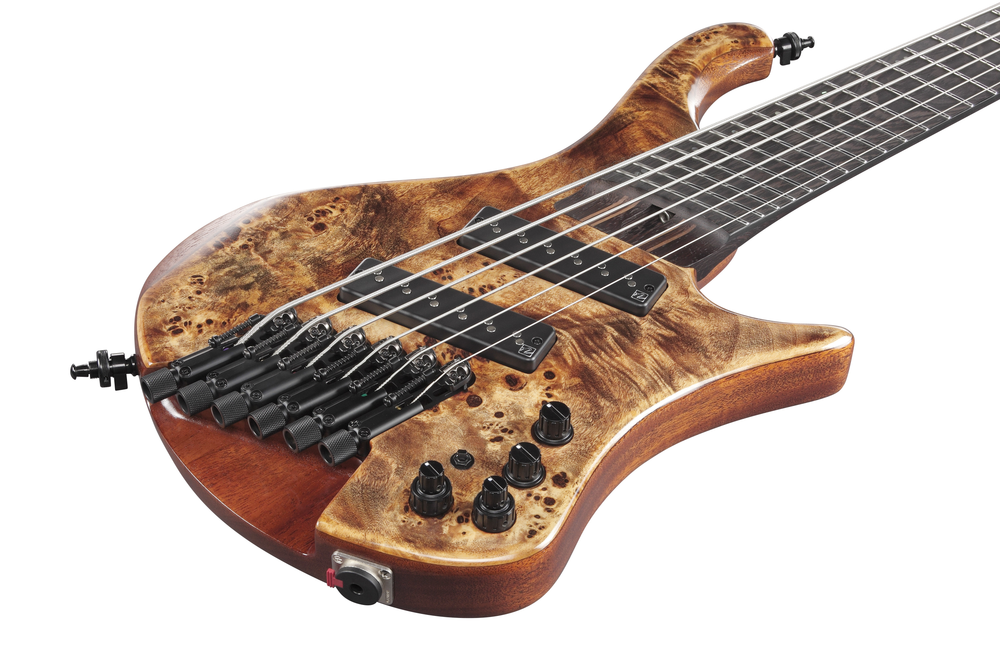 Ibanez EHB1506MS Antique Brown Stained Low Gloss - Bass Centre Music Store Melbourne