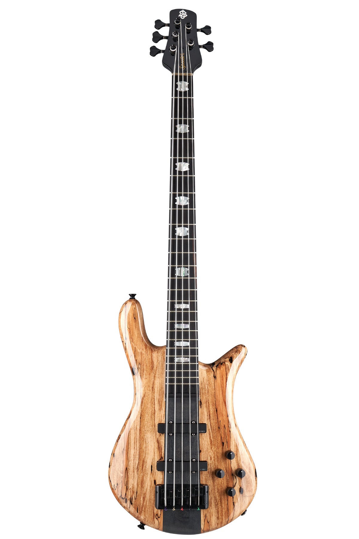 Spector Euro 5 Spalted Maple Limited Edition