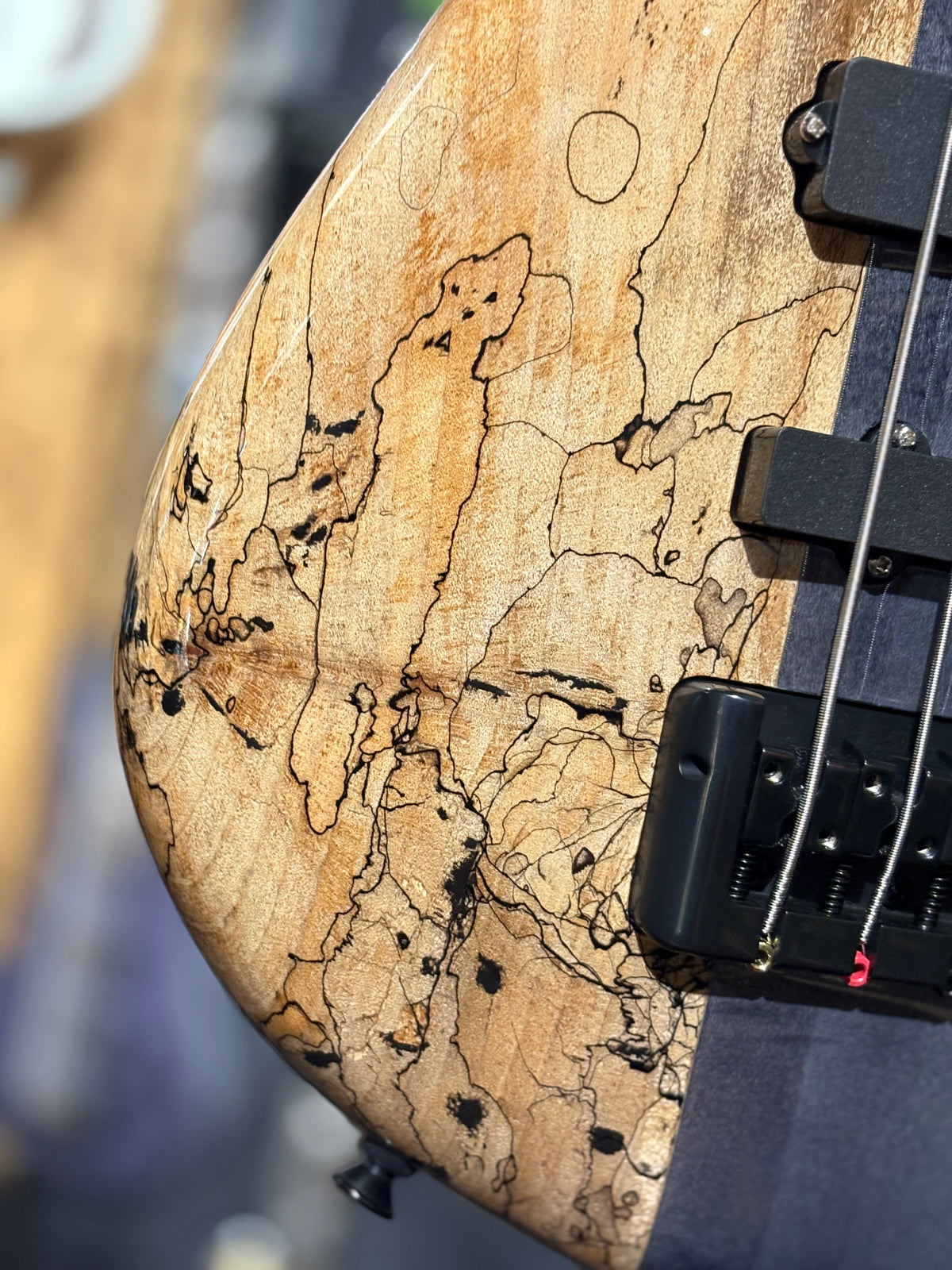 Spector Euro 4 Spalted Maple Limited Edition