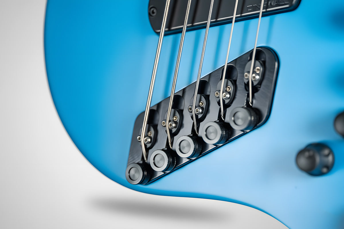 PRE-ORDER Dingwall Effigy 5 String in Blue