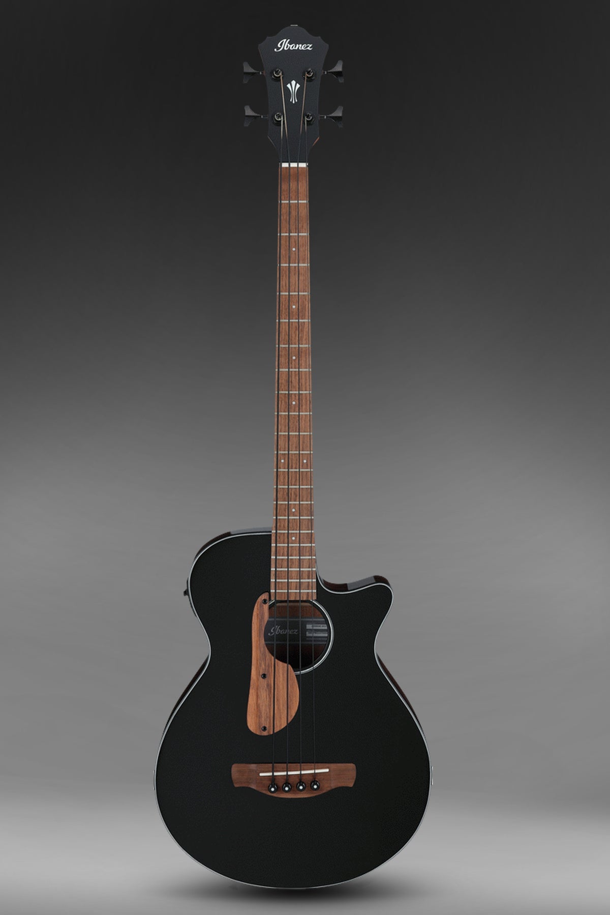 IBANEZ AEGB24E BKH Black Acoustic Bass - Bass Centre Music Store Melbourne