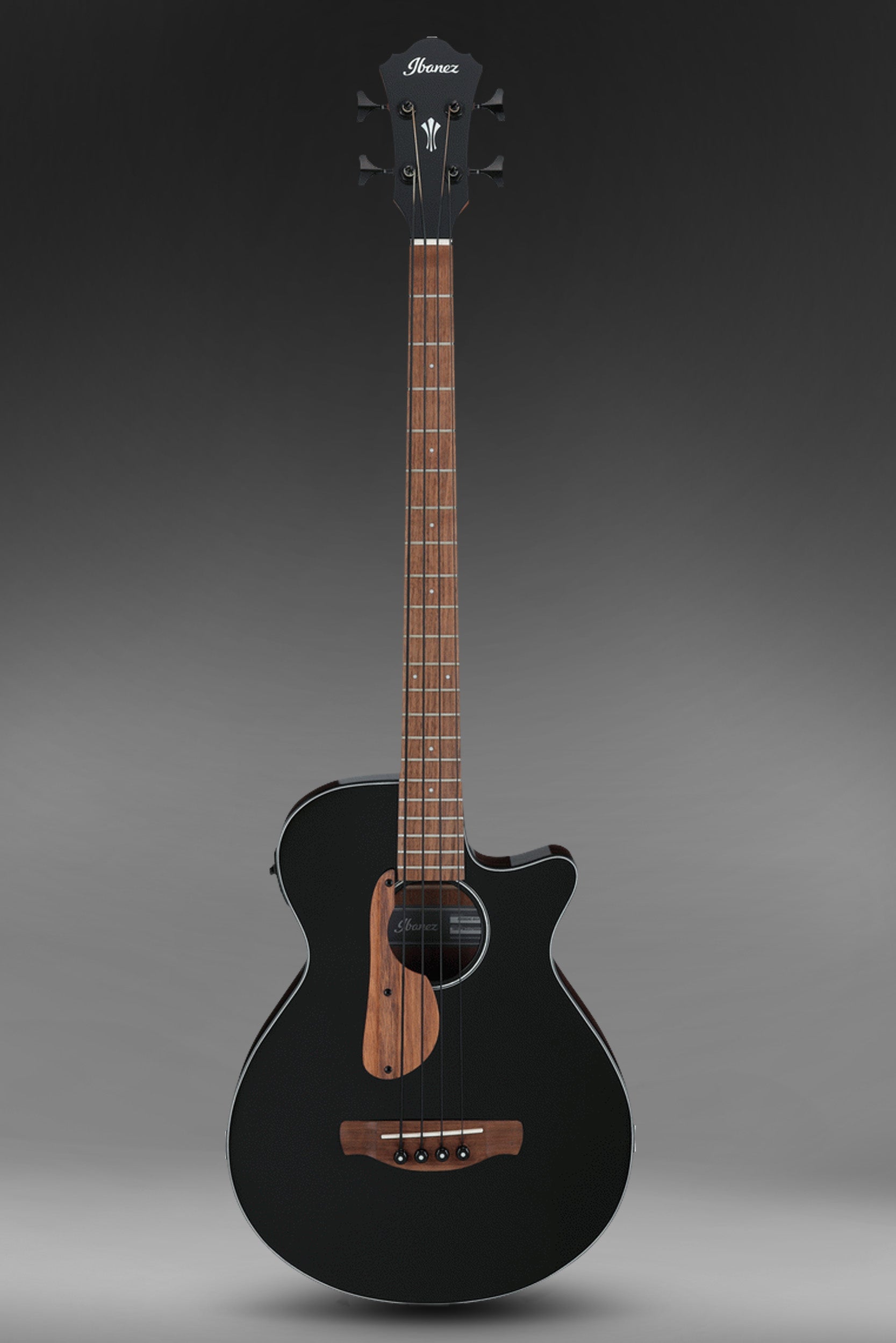 IBANEZ AEGB24E BKH Black Acoustic Bass