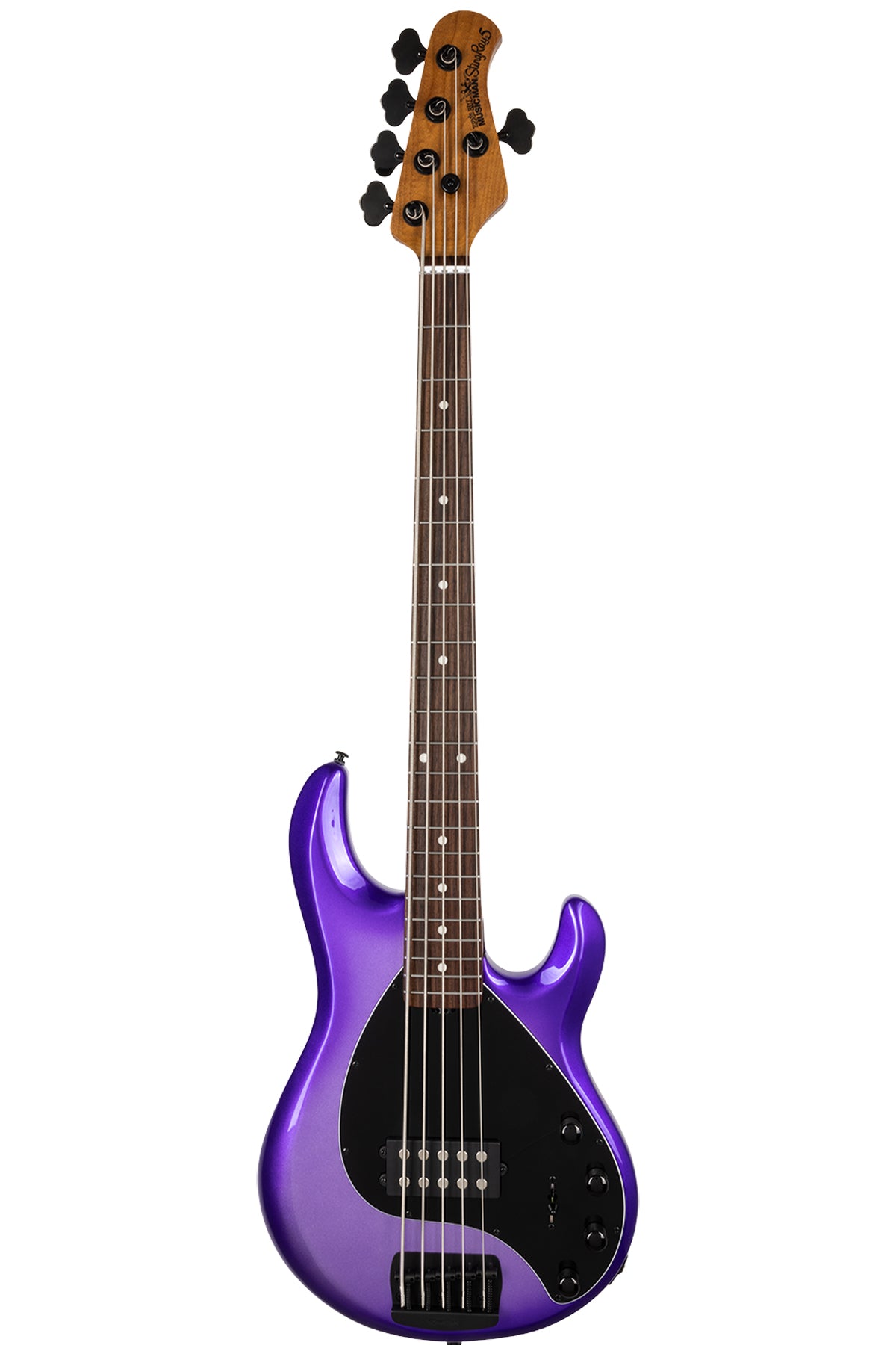 Deposit Pre Order Ernie Ball Music Man Stingray 5 H - Bass Centre Music Store Melbourne