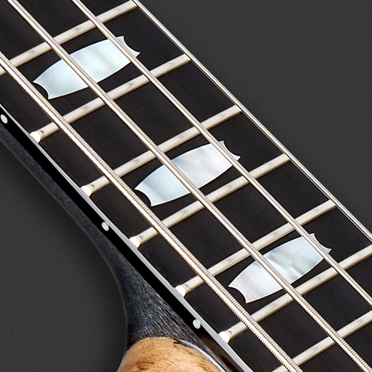 Spector Euro 5 Spalted Maple Limited Edition