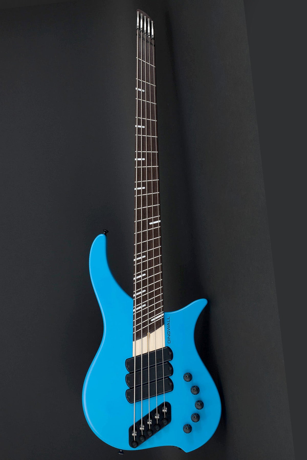PRE-ORDER Dingwall Effigy 5 String in Blue