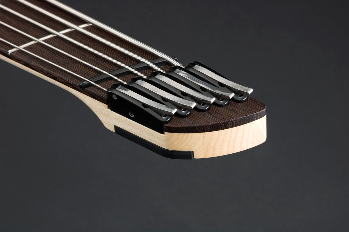 PRE-ORDER Dingwall Effigy 5 String in Blue
