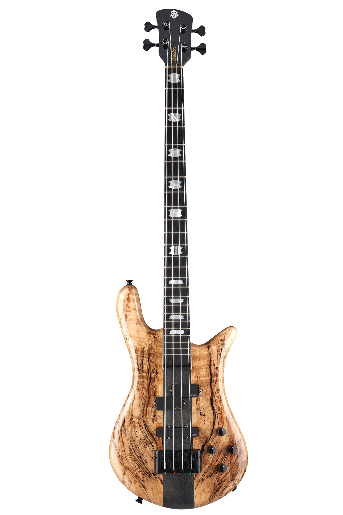 Spector Euro 4 Spalted Maple Limited Edition