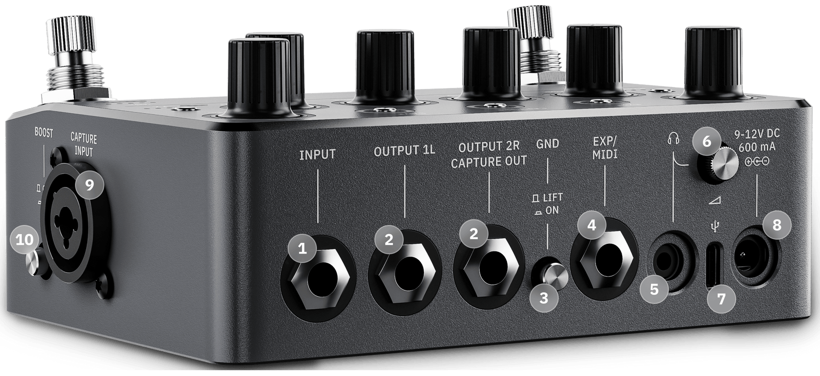 Neural DSP Nano Cortex - Bass Centre Music Store Melbourne