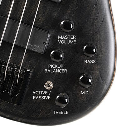 Cort Artisan B4 Element Fretless
