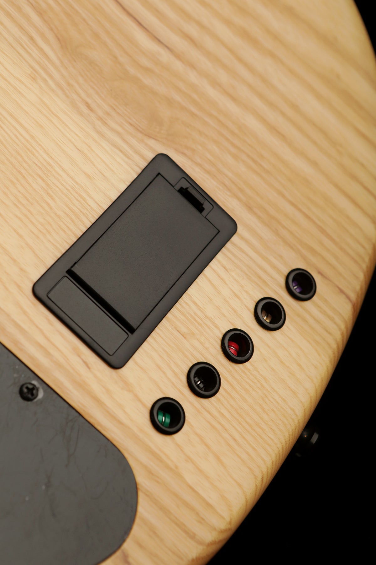 Lakland Skyline 55-01 Deluxe Spalted Maple - Bass Centre Music Store Melbourne