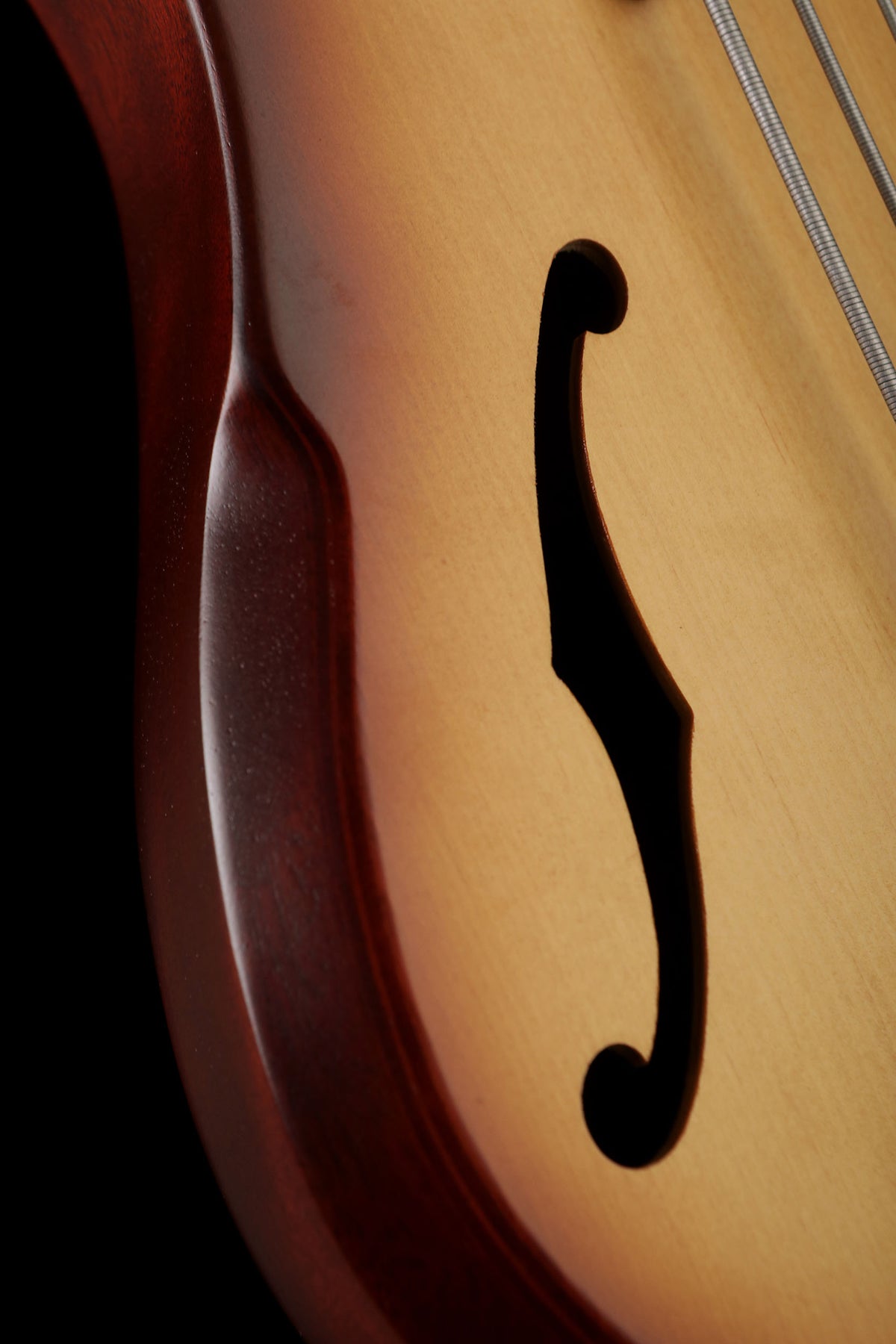 Ibanez SRH505F 5 String Hollowbody Fretless - Bass Centre Music Store Melbourne