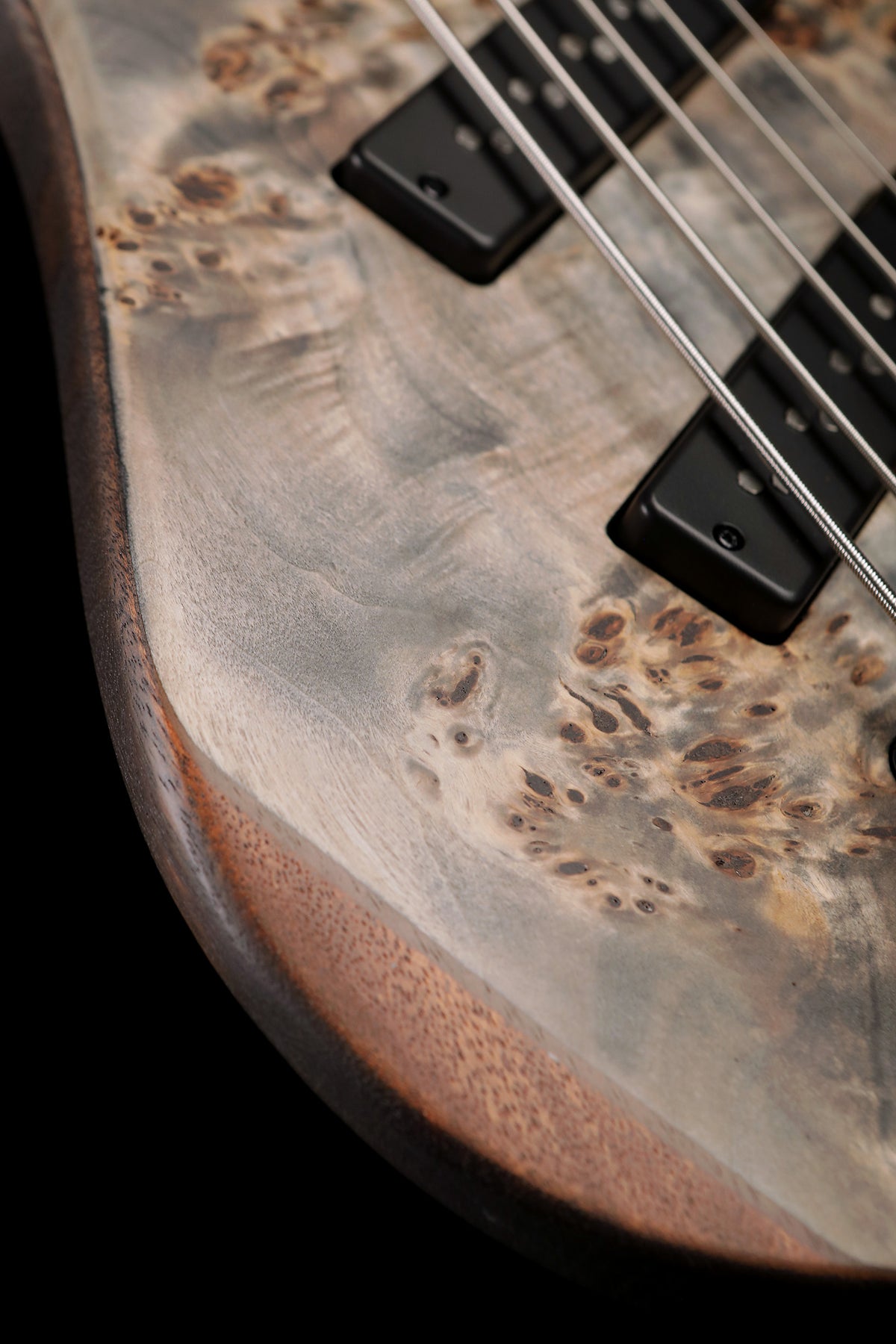 Ibanez EHB1505MS BIF Electric Bass - Bass Centre Music Store Melbourne