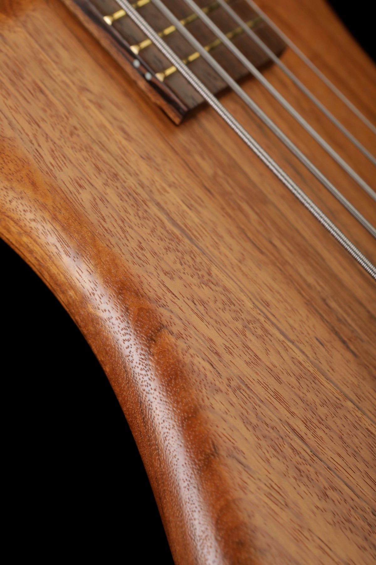 Warwick German Team  Built Thumb Bolt-On 5 Bass - Bass Centre Music Store Melbourne