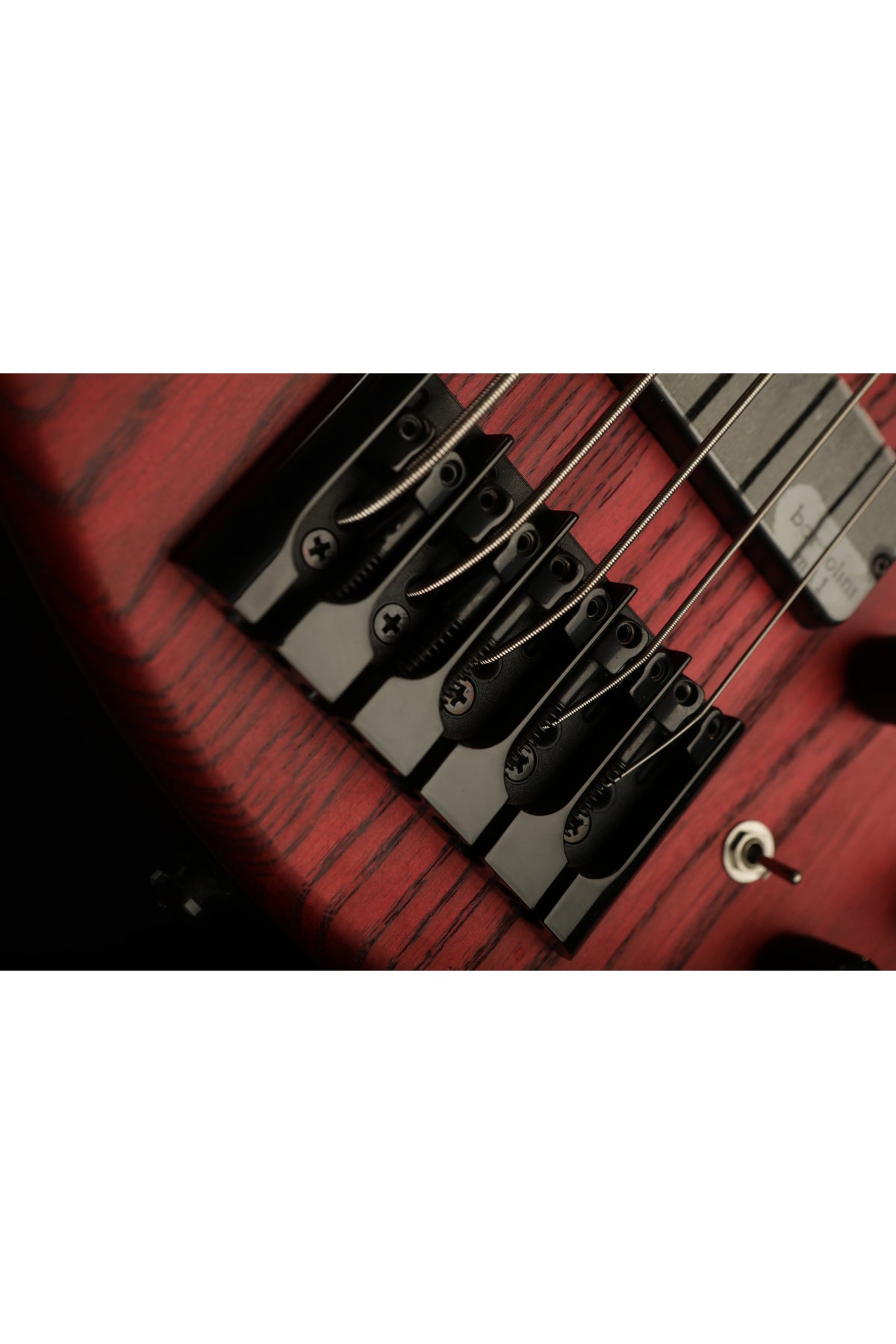 Cort B5 Element 5 string Bass - Bass Centre Music Store Melbourne