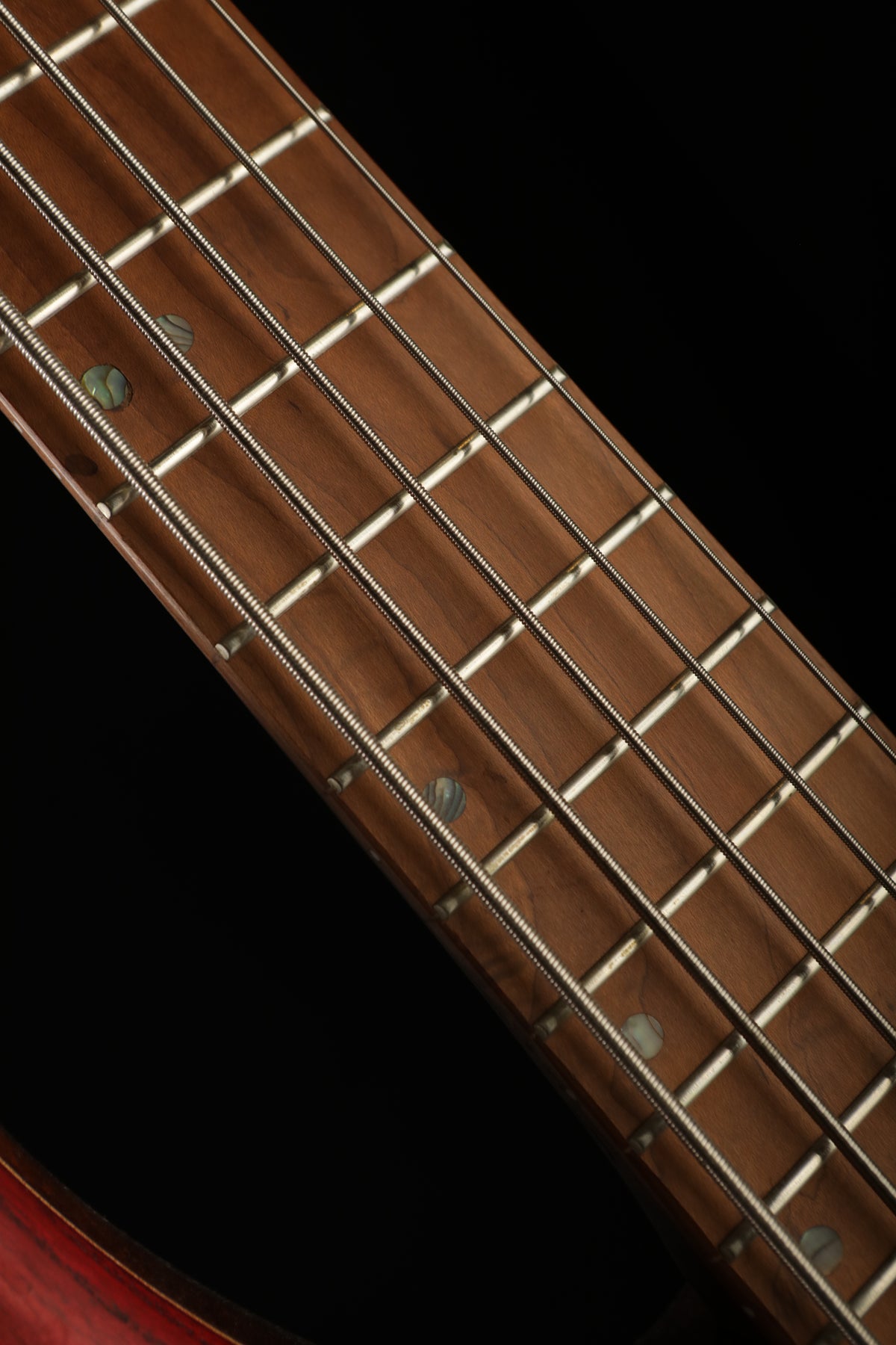 Cort B5 Element 5 string Bass - Bass Centre Music Store Melbourne