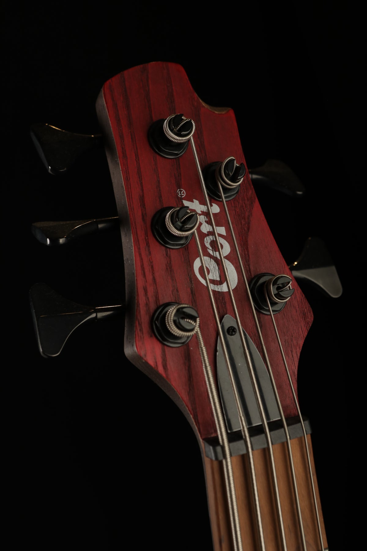 Cort B5 Element 5 string Bass - Bass Centre Music Store Melbourne