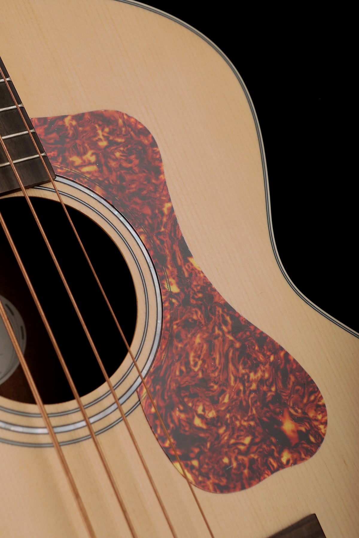 Guild B-240E Acoustic Bass - Bass Centre Music Store Melbourne