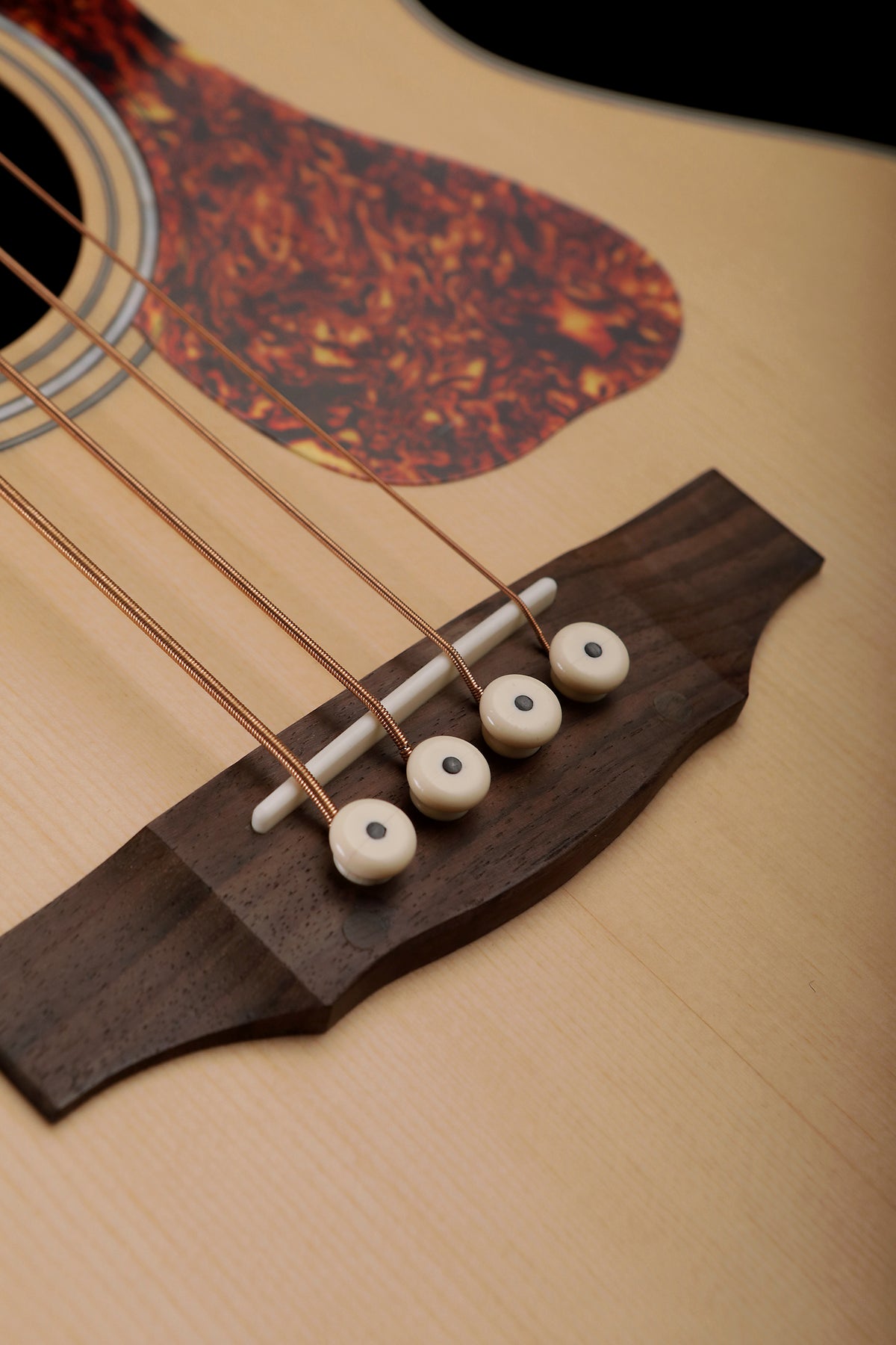 Guild B-240E Acoustic Bass - Bass Centre Music Store Melbourne