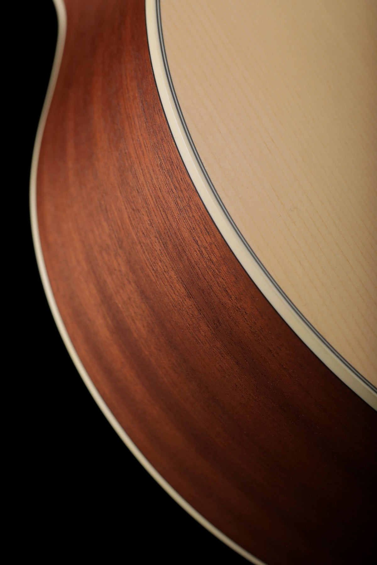 Guild B-240E Acoustic Bass - Bass Centre Music Store Melbourne