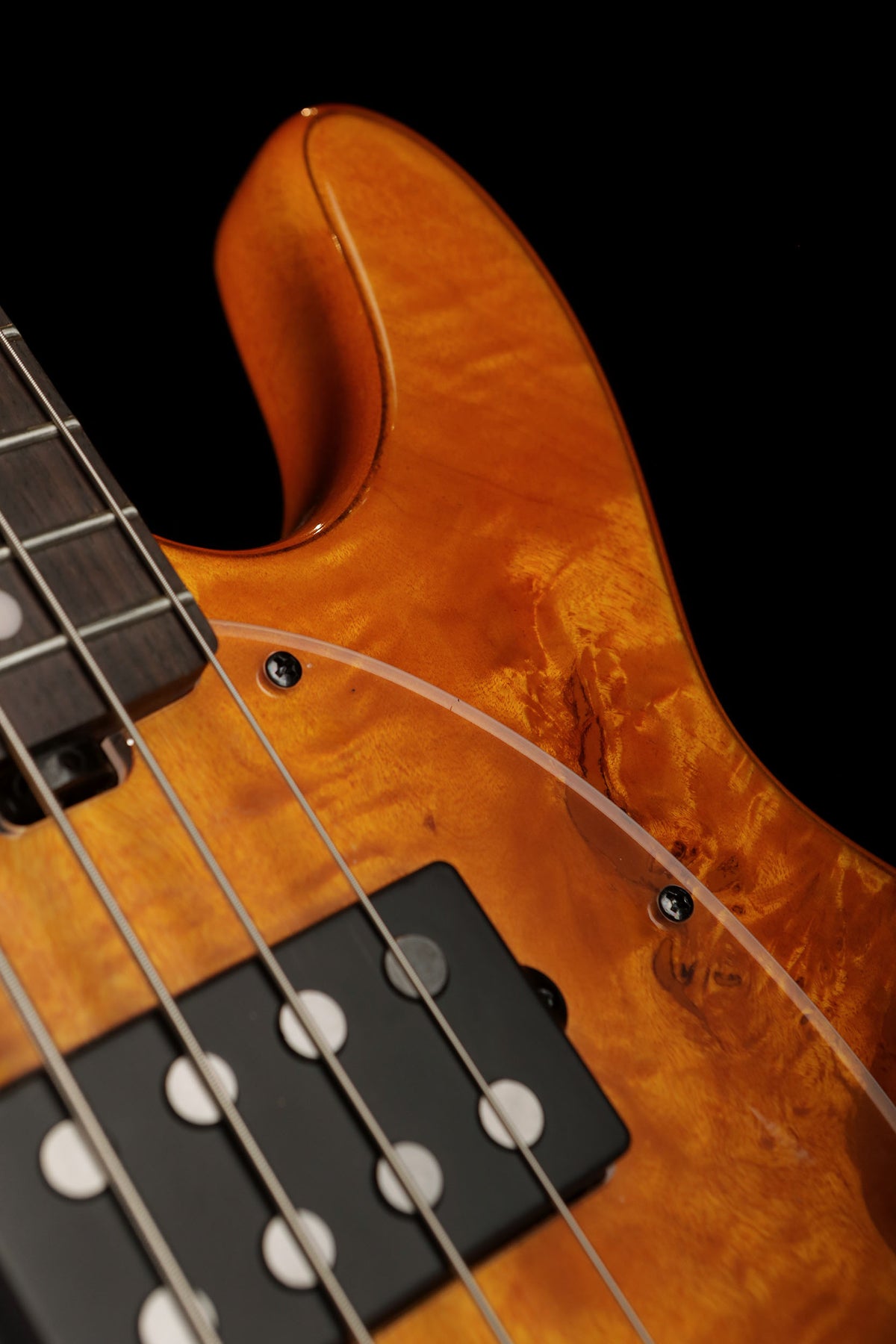 Sterling by Musicman Ray34 HH Poplar Burl Amber - Bass Centre Music Store Melbourne