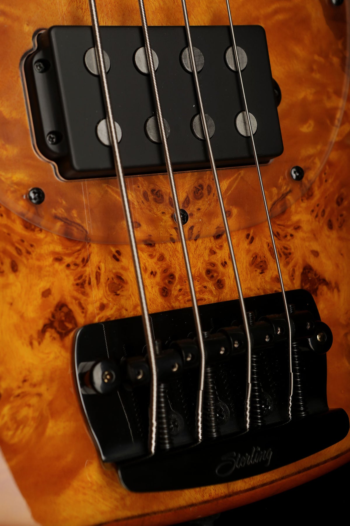 Sterling by Musicman Ray34 HH Poplar Burl Amber - Bass Centre Music Store Melbourne