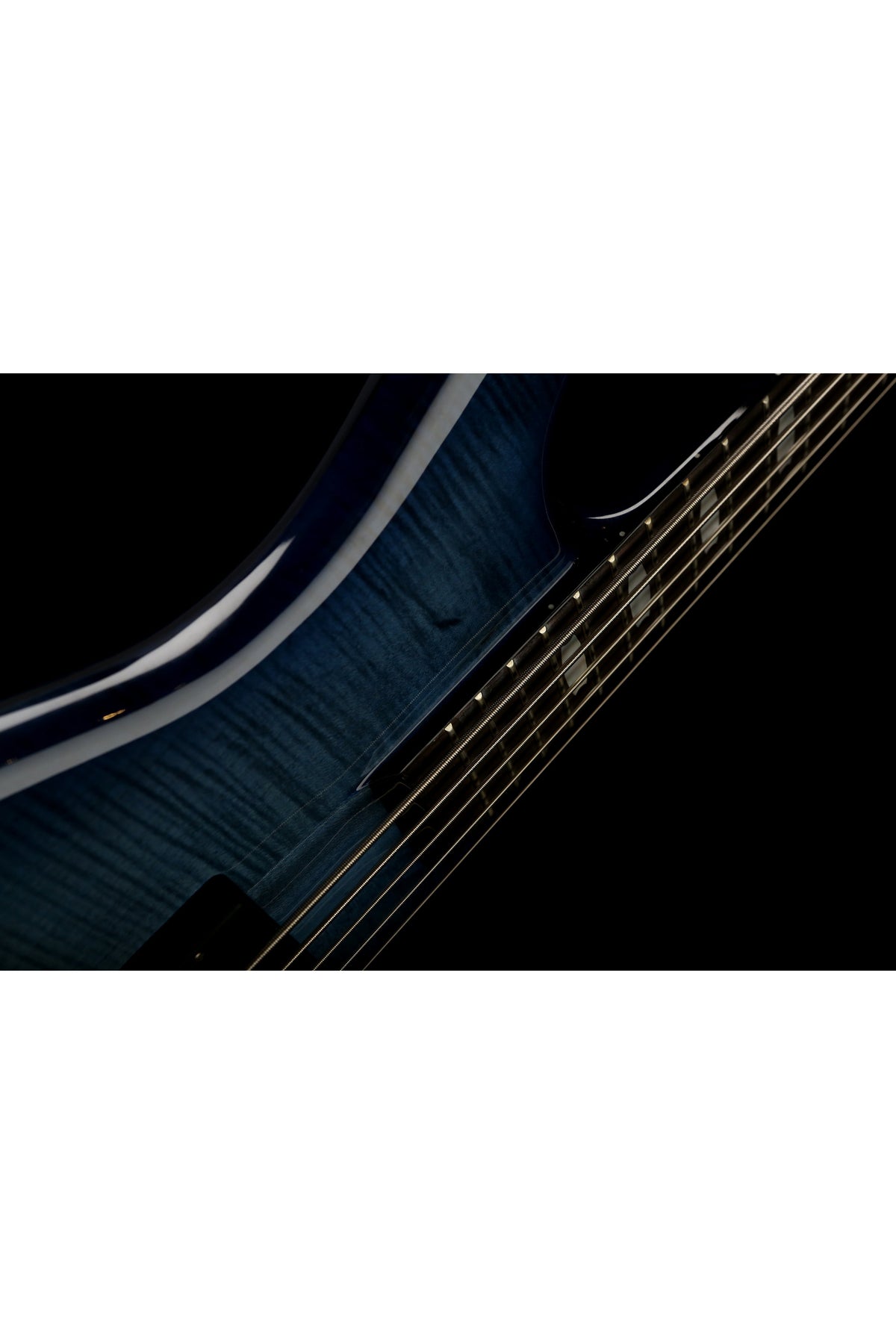 Spector Euro 5 LT - Bass Centre Music Store Melbourne