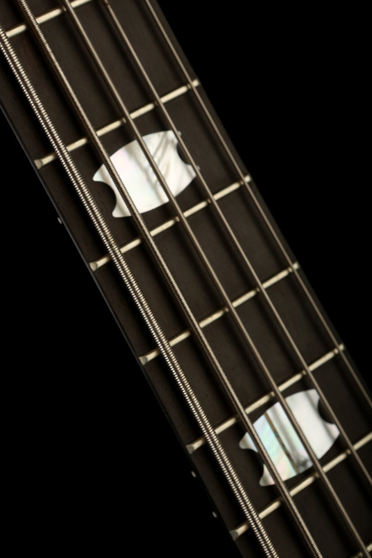 Spector Euro 5 LT - Bass Centre Music Store Melbourne