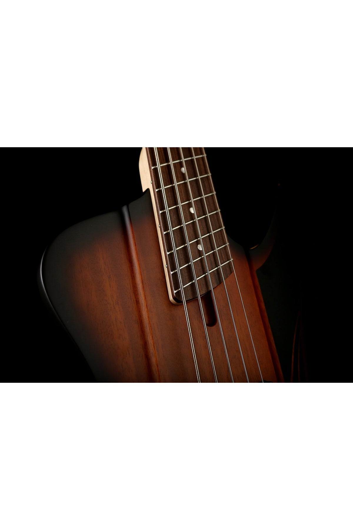 Dingwall D-Roc 5 String Bass - Bass Centre Music Store Melbourne
