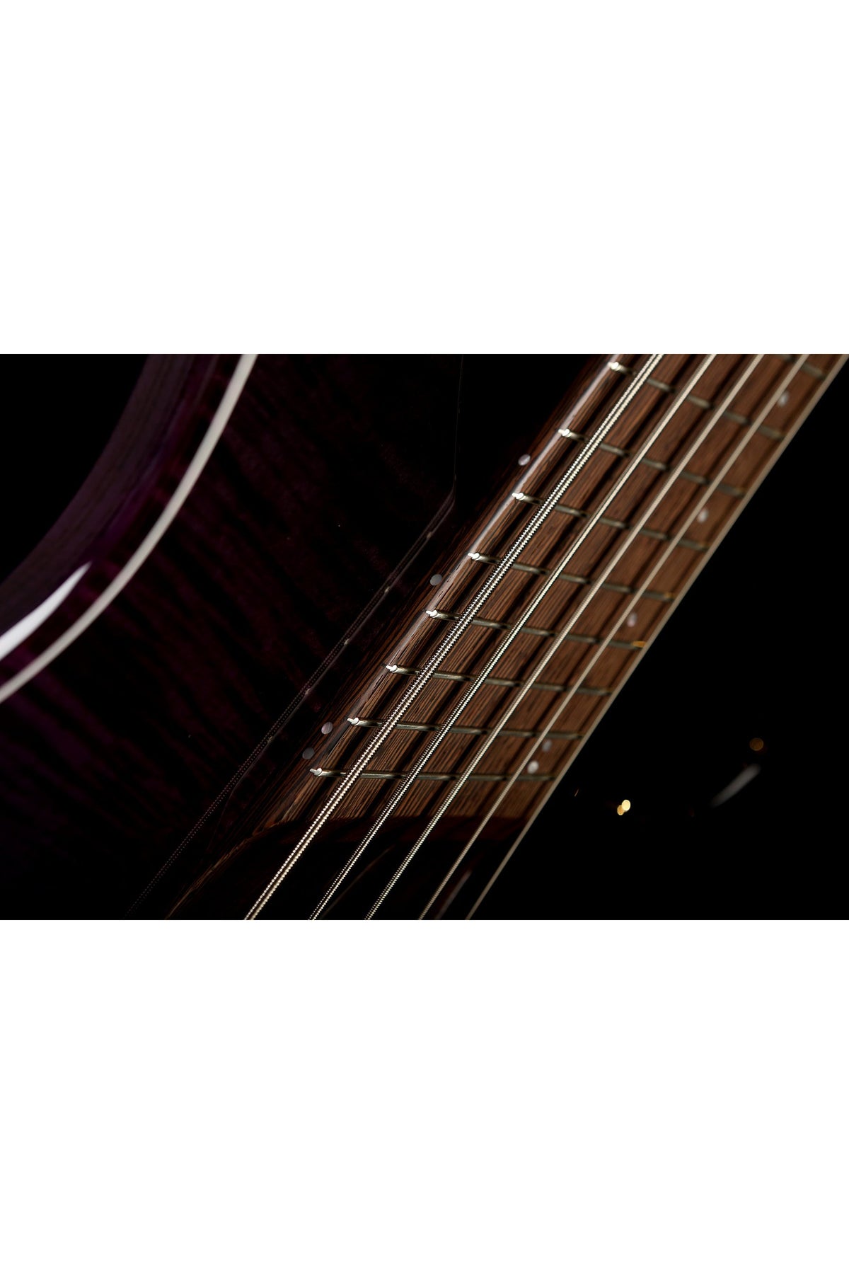 Dingwall Afterburner AB1 5 Blue/purple/Black Fade - Bass Centre Music Store Melbourne