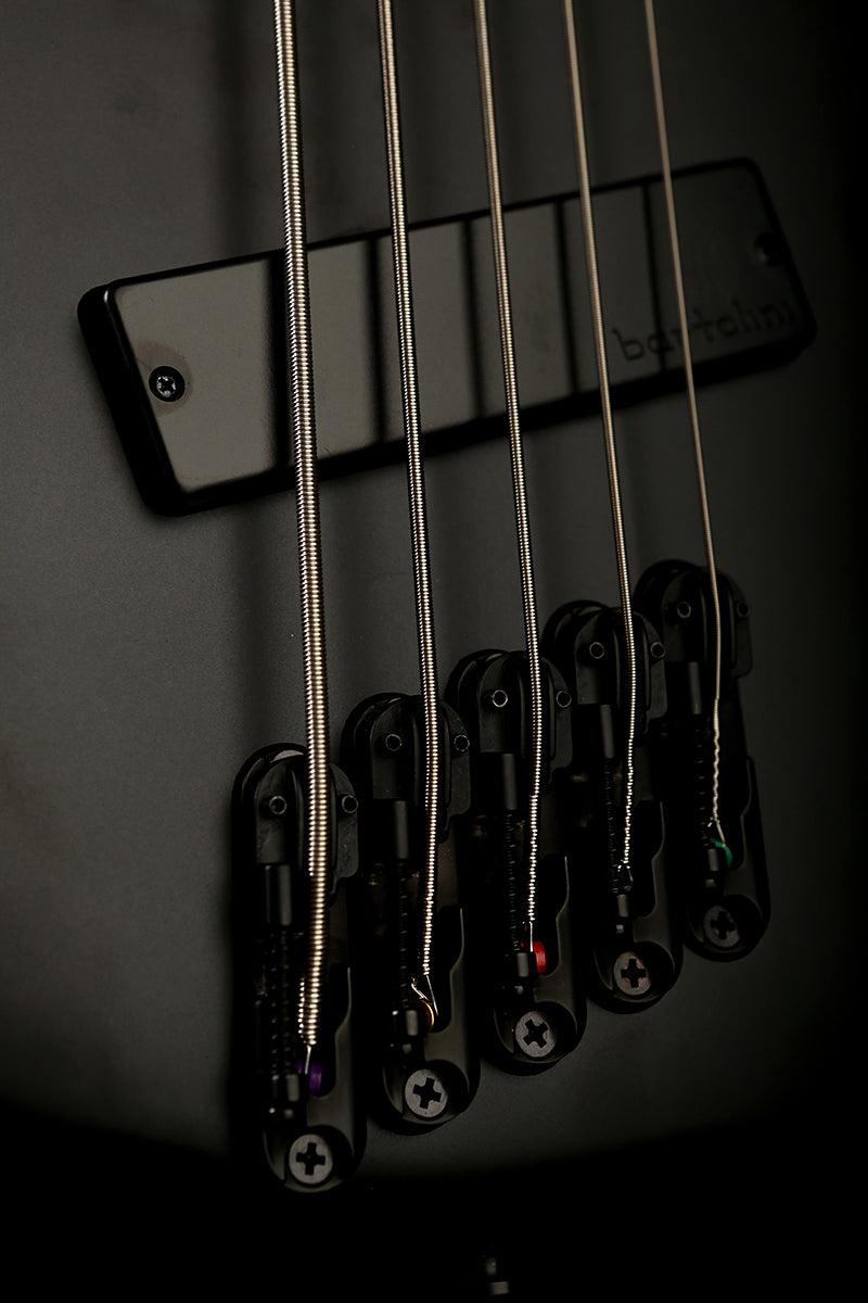 Ibanez Iron Label SRMS625EX - Bass Centre Music Store Melbourne