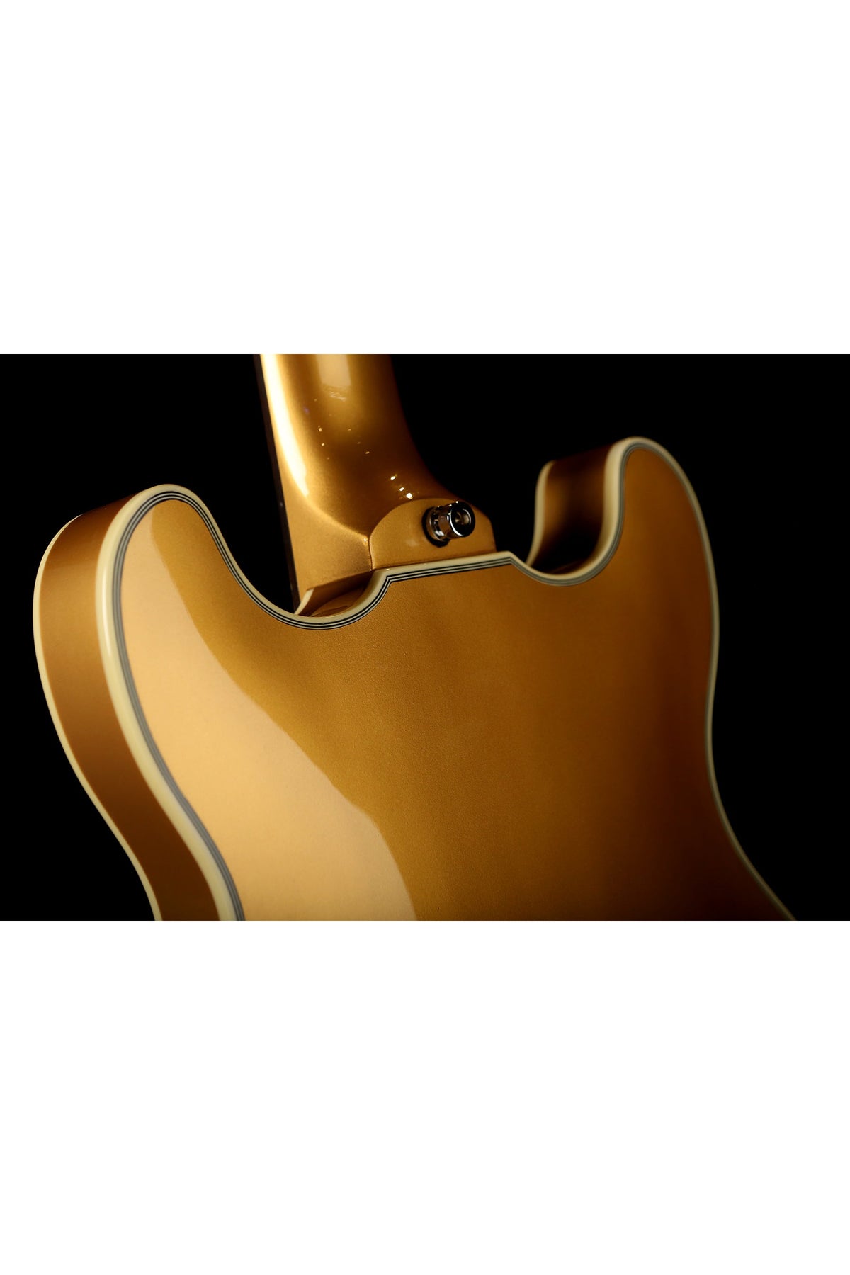 Warwick Rockbass Star Bass Gold - Bass Centre Music Store Melbourne