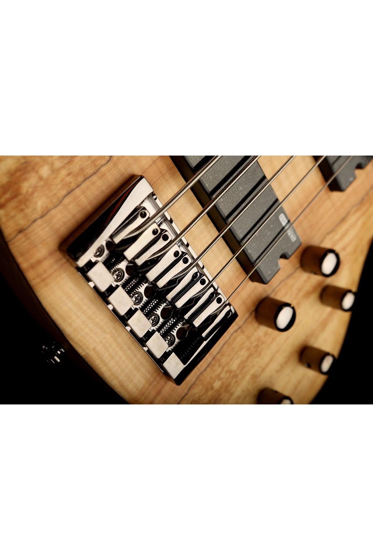 LTD B-205 Spalted Maple 5 STRING Fretless Bass - Bass Centre Music Store Melbourne