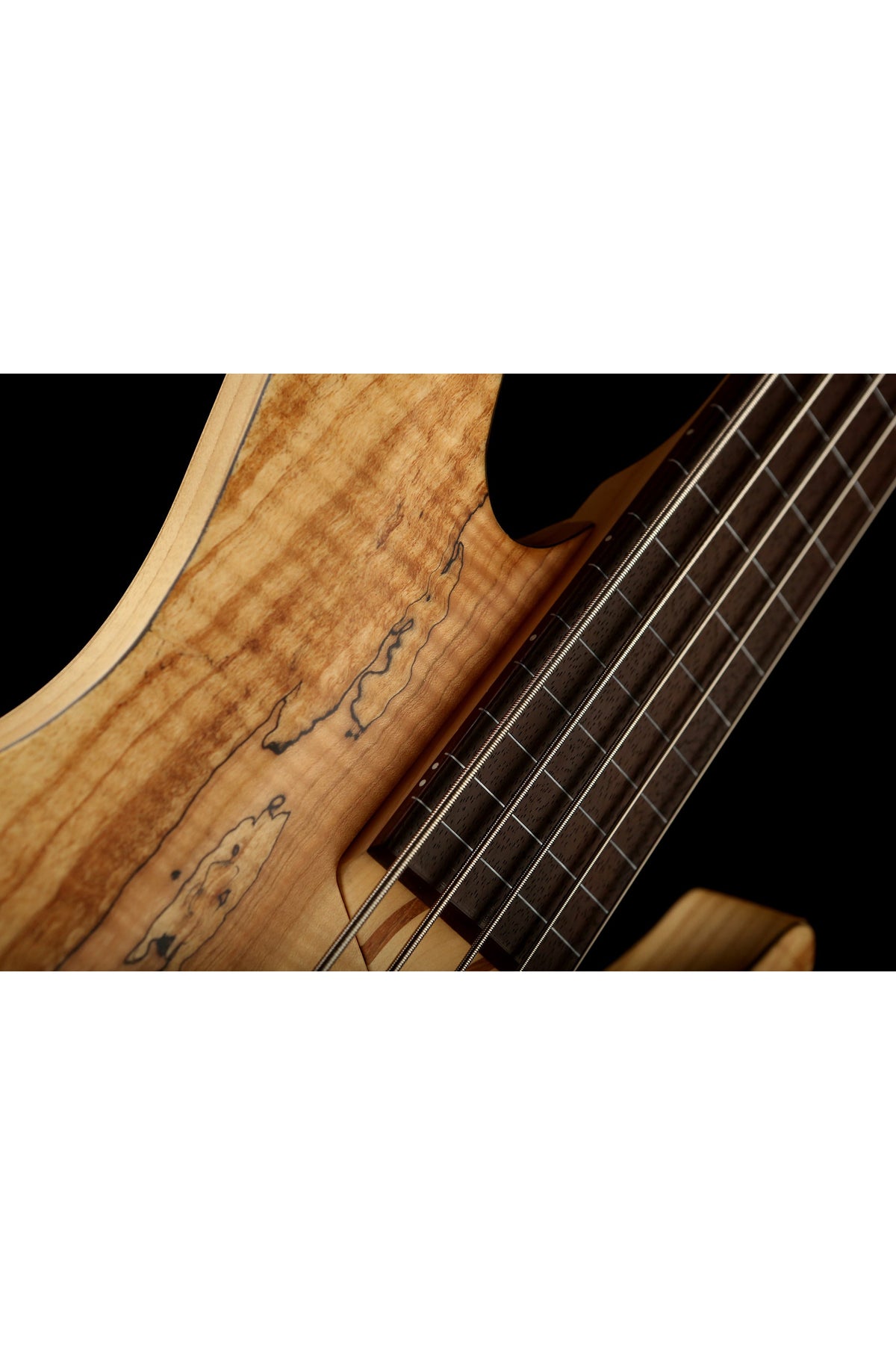 LTD B-205 Spalted Maple 5 STRING Fretless Bass - Bass Centre Music Store Melbourne